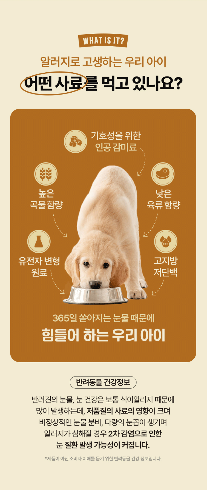 03.png